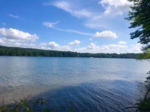 A serene lake surrounded by green trees under a blue sky with fluffy clouds, reflecting on the water's surface.