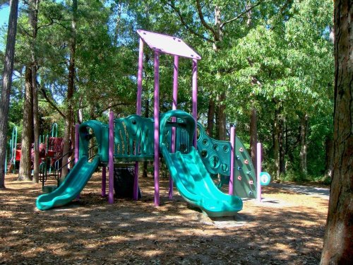 Colorful playground equipment with slides and climbing features, surrounded by trees and natural ground cover.