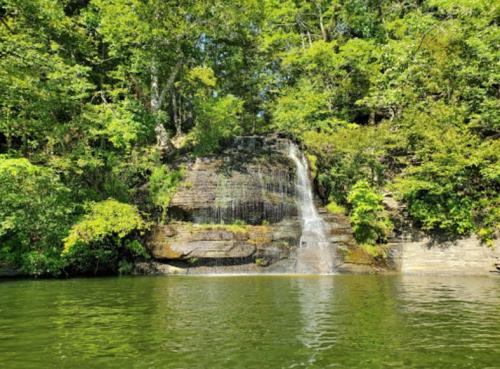 A serene waterfall cascading over rocks, surrounded by lush green trees and reflecting in calm water below.