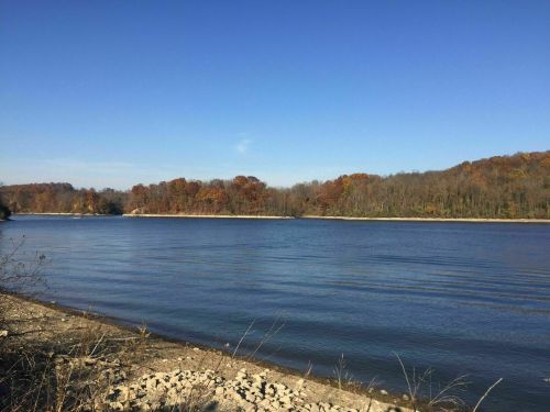 A calm river surrounded by trees with autumn foliage under a clear blue sky.