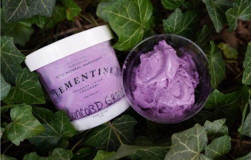 A container of purple ice cream sits on green ivy leaves, showcasing its creamy texture and vibrant color.