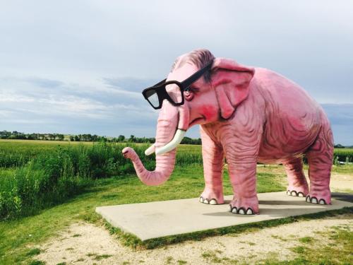 A large pink elephant statue wearing oversized black glasses, standing on a concrete base in a grassy field.