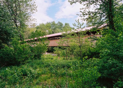 A wooden structure partially hidden by lush greenery and trees under a cloudy sky.