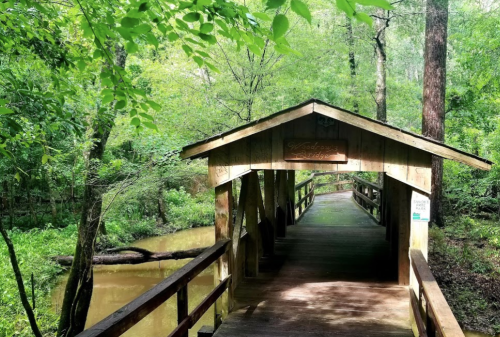 A wooden bridge leads into a lush, green forest, with a calm waterway visible beside it.