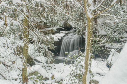 A serene winter scene featuring a waterfall surrounded by snow-covered trees and a tranquil forest setting.