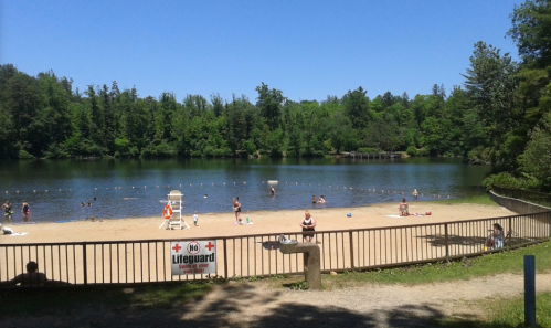 A sandy beach by a calm lake, with people swimming and relaxing under a clear blue sky, surrounded by green trees.