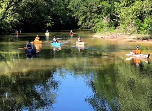 A group of kayakers paddles on a calm river surrounded by lush greenery and trees.