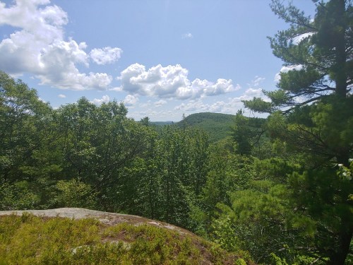 A scenic view of lush green trees and rolling hills under a bright blue sky with fluffy white clouds.