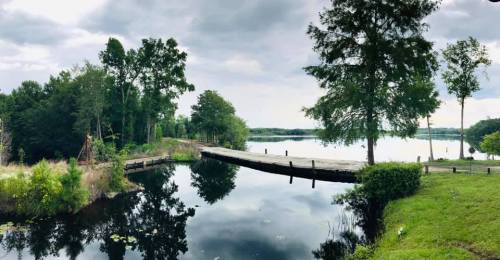 A serene lake scene with trees reflecting in the water, a wooden dock extending into the lake, and a cloudy sky.