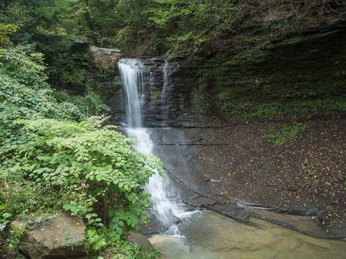 A serene waterfall cascading over rocky ledges, surrounded by lush green foliage and trees.