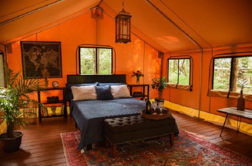 Cozy glamping tent interior with a bed, decorative plants, and warm orange walls, surrounded by nature.