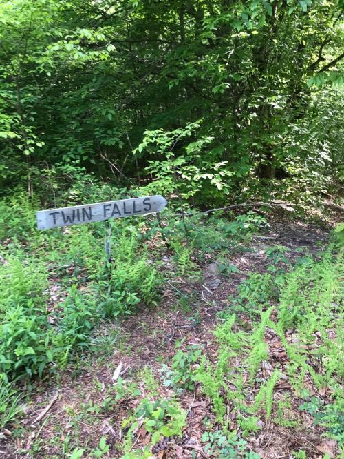 A wooden sign pointing to "Twin Falls" amidst lush green foliage and underbrush.