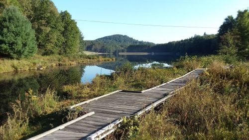 A serene lake surrounded by trees, with a wooden walkway leading to the water under a clear blue sky.