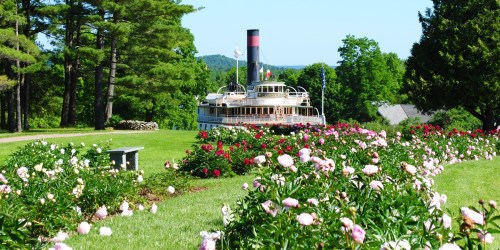 A vintage steamboat is docked near a vibrant flower garden, surrounded by lush greenery and trees.