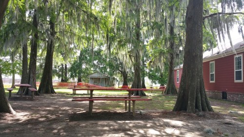 A shaded outdoor area with picnic tables under trees draped in Spanish moss, near a red building and a small shed.