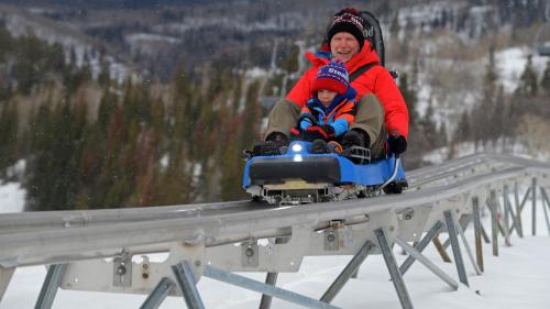 A person and a child ride a blue alpine coaster down a snowy track surrounded by trees.