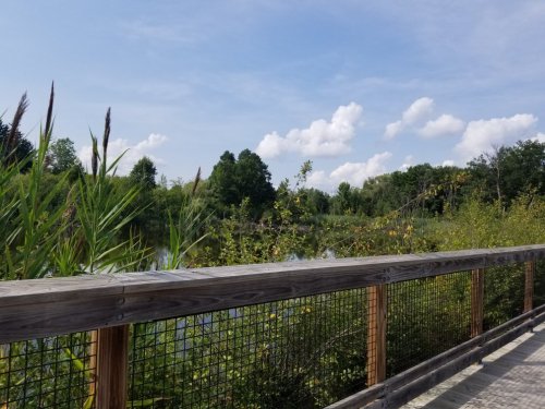 A wooden boardwalk overlooks a lush, green landscape with a calm pond and fluffy clouds in a blue sky.