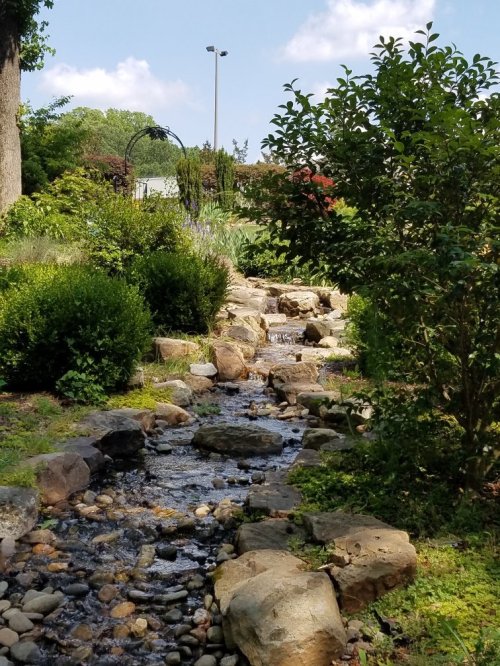 A serene stream flows over rocks, surrounded by lush greenery and trees under a blue sky with fluffy clouds.