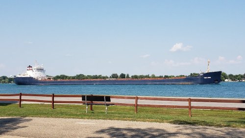 A large cargo ship sails on a calm blue lake, with a grassy shoreline and a wooden fence in the foreground.