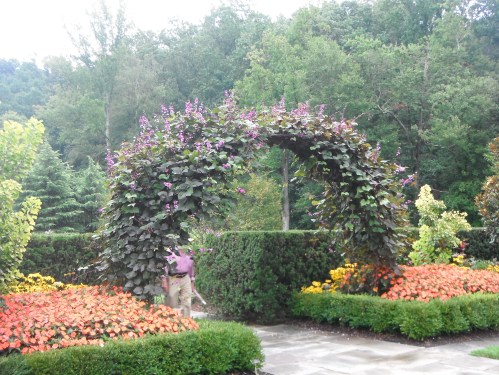 A garden scene featuring a floral archway surrounded by colorful flowers and lush greenery.
