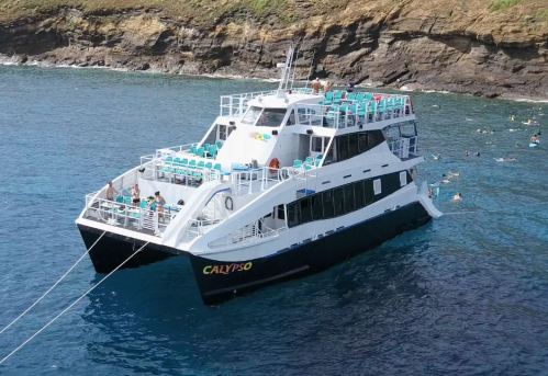 A large white and blue catamaran named "Calypso" anchored in clear blue water, with people swimming nearby.