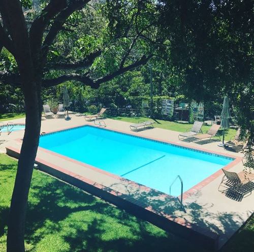 A clear blue swimming pool surrounded by lounge chairs and greenery on a sunny day.
