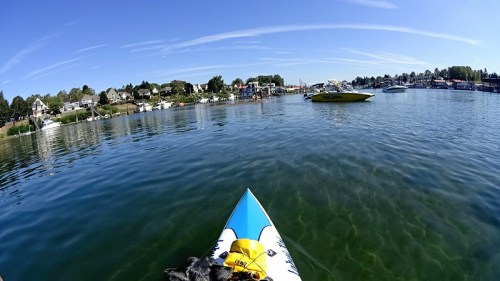 A view from a kayak on calm water, with houses and boats in the background under a clear blue sky.