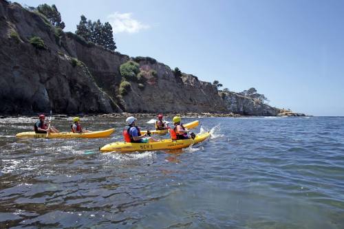 A group of kayakers paddles along a rocky coastline under a clear blue sky.