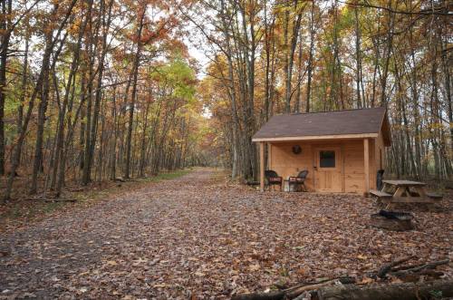 A cozy wooden cabin beside a gravel path, surrounded by autumn trees with colorful leaves.