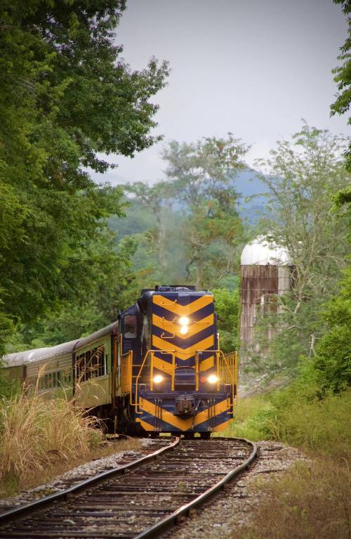 A yellow and blue train approaches on a track surrounded by greenery, with a water tower visible in the background.