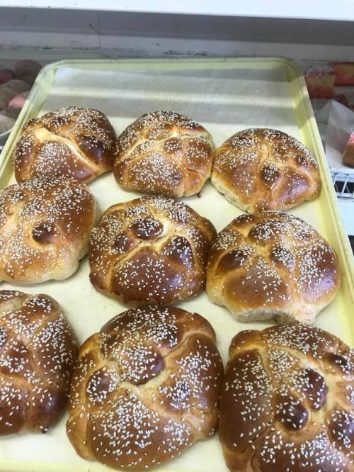 Freshly baked, golden-brown bread rolls topped with sesame seeds, arranged on a tray.