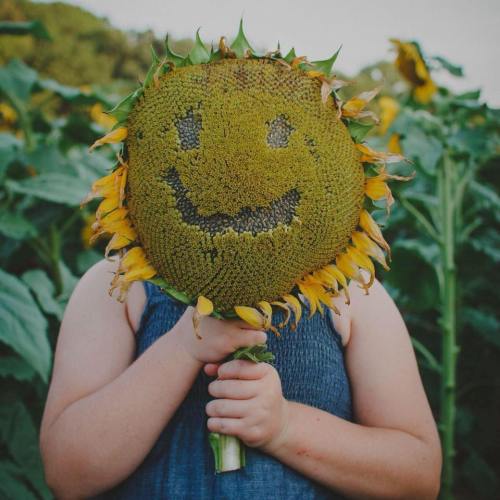 A child holds a large sunflower with a smiley face drawn on it, surrounded by a field of sunflowers.