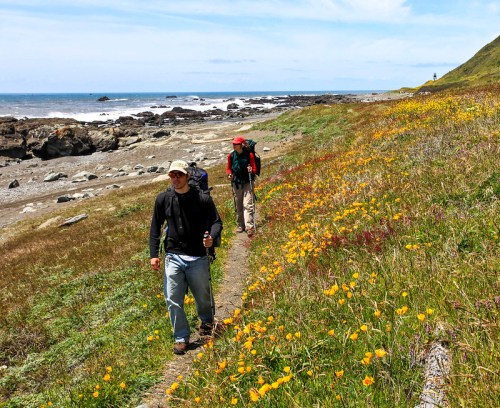 Two hikers walk along a coastal trail lined with colorful wildflowers, with the ocean and rocky shore in the background.