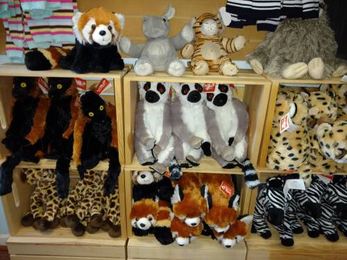A display of various stuffed animals, including red pandas, lemurs, and a rhino, arranged on wooden shelves.