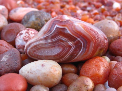 A close-up of a polished red and white agate stone among various small, colorful pebbles on a sandy surface.