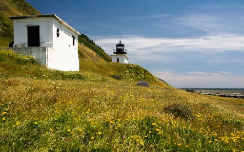 A scenic view of a lighthouse on a grassy hillside, surrounded by wildflowers and overlooking the ocean.