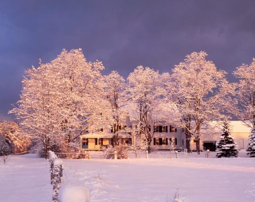 A snow-covered house surrounded by trees, illuminated by soft light against a dark, cloudy sky.
