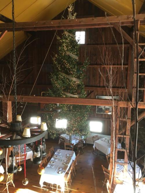 A cozy restaurant interior with a tall Christmas tree, wooden beams, and tables set for dining.