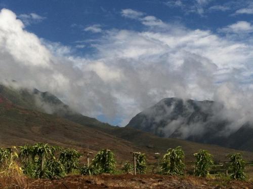 A scenic view of mountains shrouded in clouds, with lush greenery in the foreground under a blue sky.