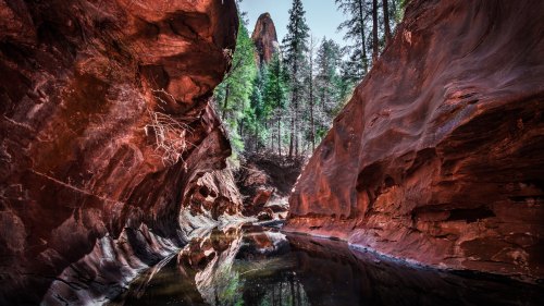 A serene canyon with red rock walls, lush green trees, and a calm water reflection in the foreground.