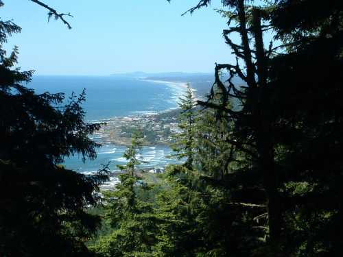 A coastal view from a forest, showcasing the ocean, shoreline, and distant land under a clear blue sky.