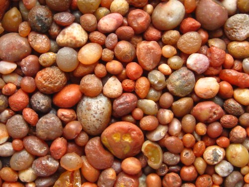 A close-up of a variety of small, colorful pebbles and stones in shades of brown, orange, and red.