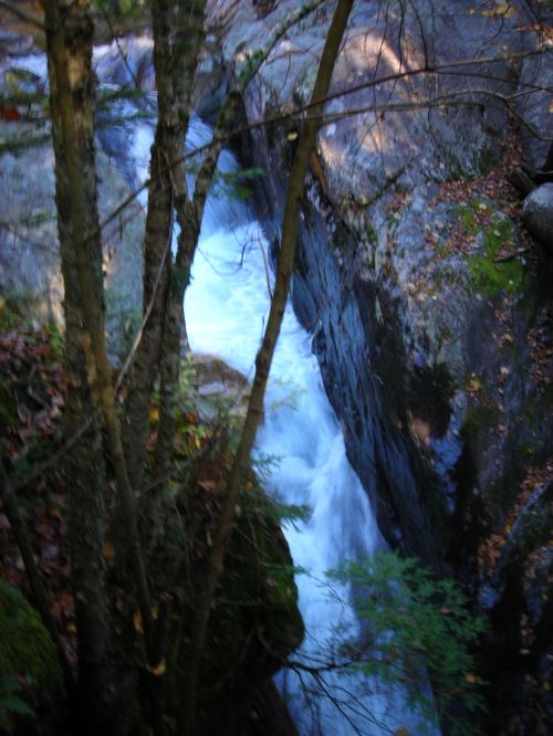A rushing river flows between rocky banks, surrounded by trees and autumn foliage.