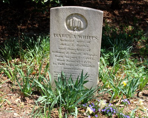 Gravestone of Isabel A. Whipps, with inscriptions detailing her life and death, surrounded by greenery and flowers.