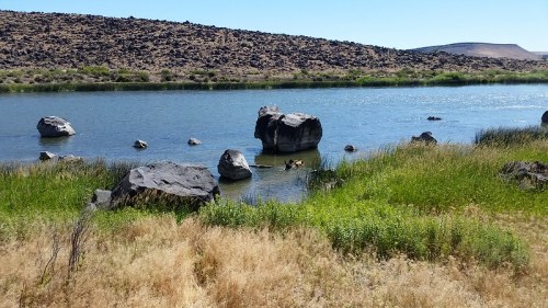 A serene river scene with large rocks, green grass, and a rocky hillside under a clear blue sky.