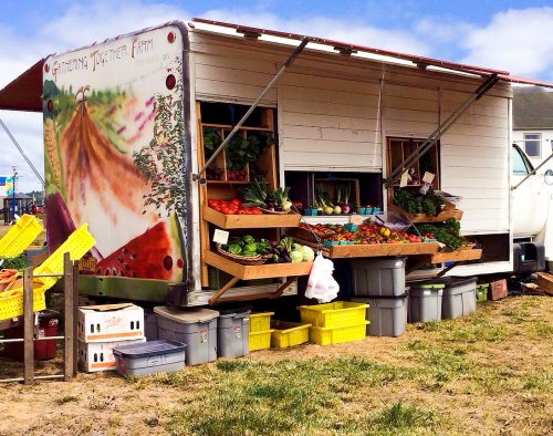 A colorful farm stand with fresh vegetables and fruits displayed outside a white trailer, set in a grassy area.