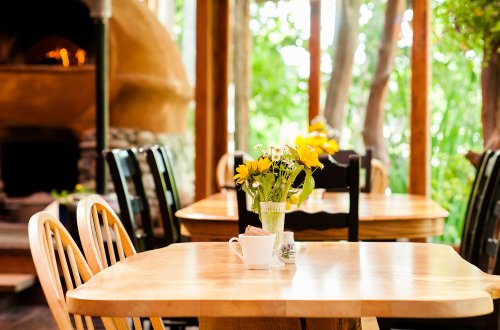 A cozy dining area with wooden tables, black chairs, and a vase of yellow flowers on a table, surrounded by greenery.
