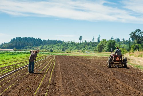 Two farmers work in a field: one uses a hoe while the other drives a tractor, with lush greenery in the background.