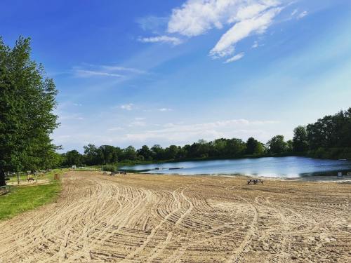 A sandy beach by a calm lake, surrounded by trees and blue skies, with picnic tables in the distance.