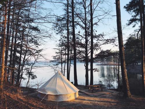 A tent by a calm lake surrounded by tall trees, with a picnic table nearby and a serene sky at dawn.